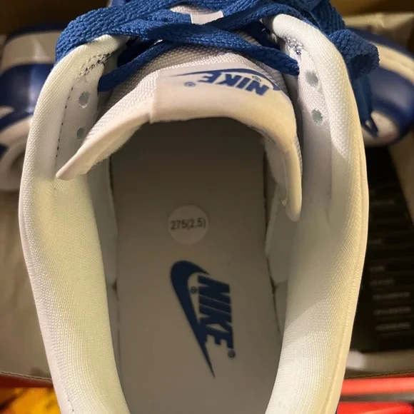 Dunk low Kentucky 9.5